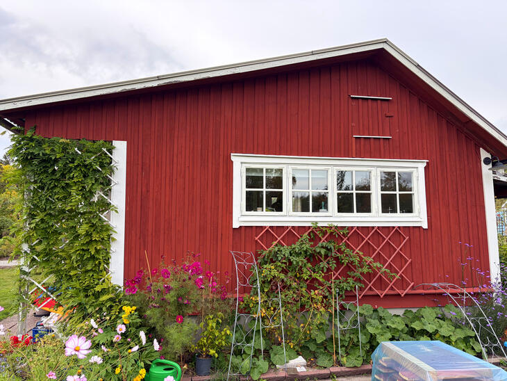 Färdigt resultat! Nya fönster med varsamt renoverade bågar, redo för många år till.
